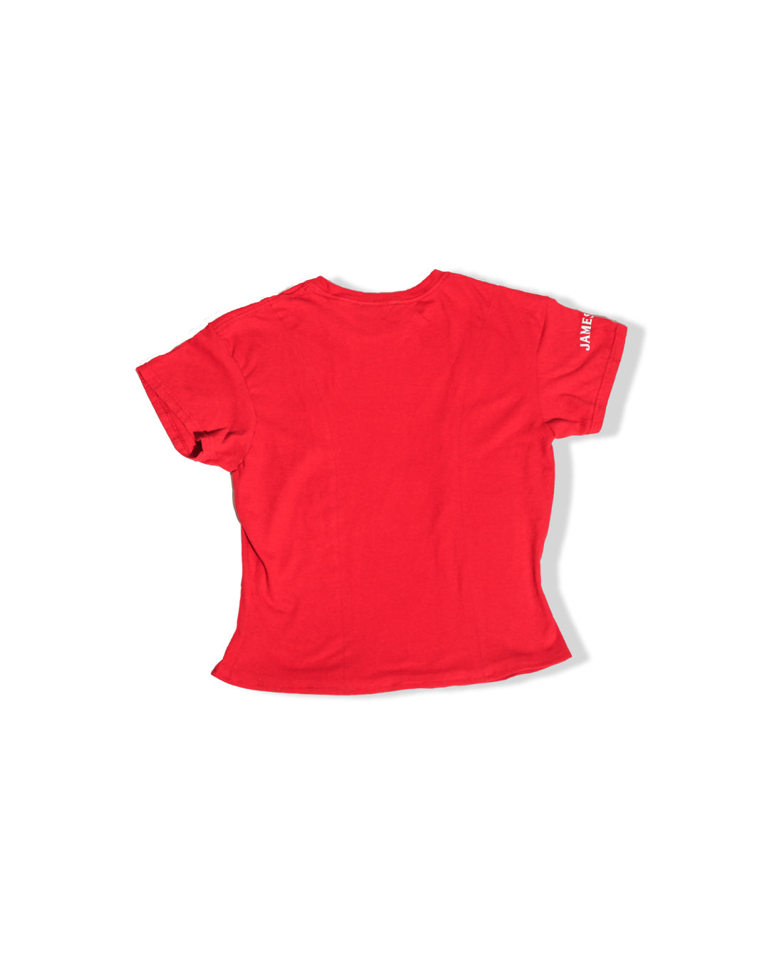 Detroit Red Wings Bodice