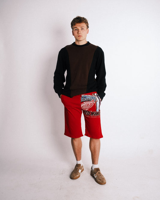 Red wings T- shorts