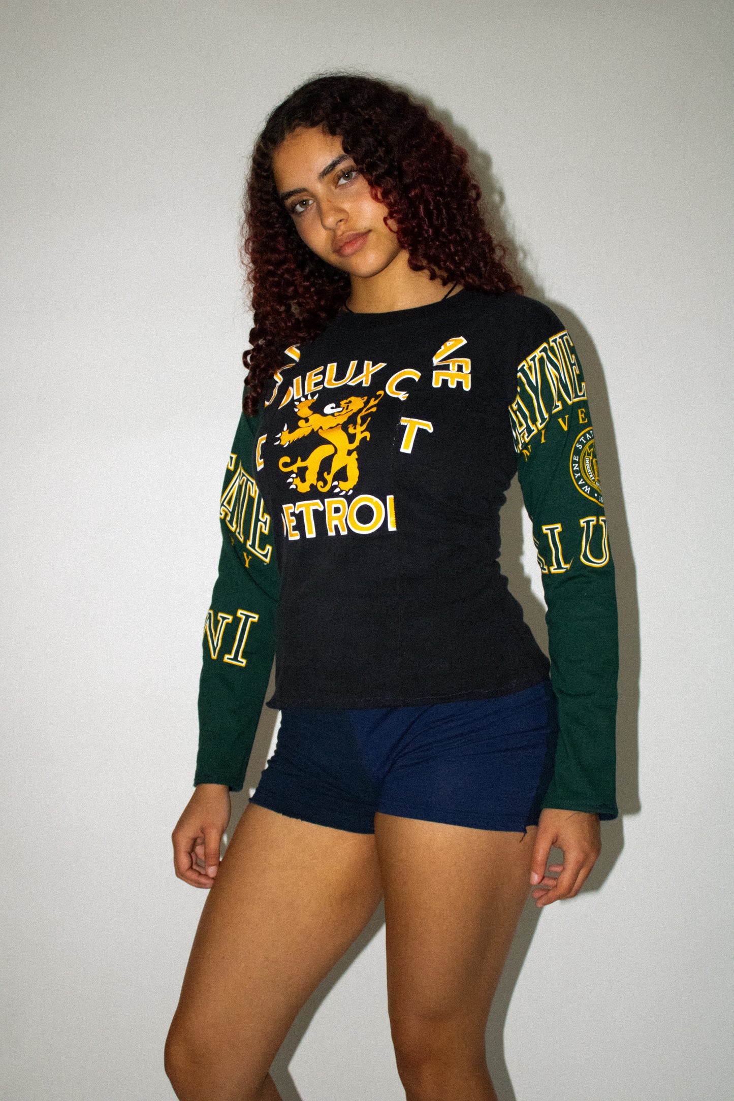 Wayne State Detroit Vintage T