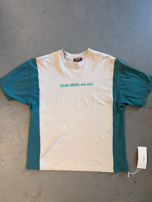 Chameleon Reworked Bodice T